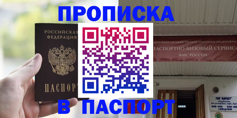 пропишу в квартире в Светлогорске